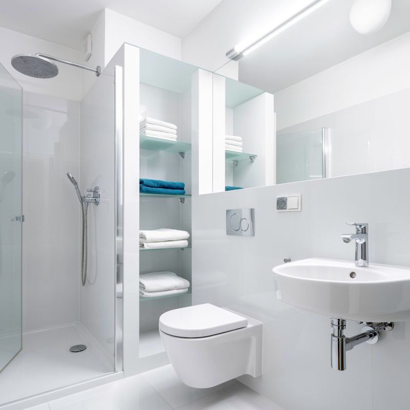 Walk-In Showers with Glass Enclosures